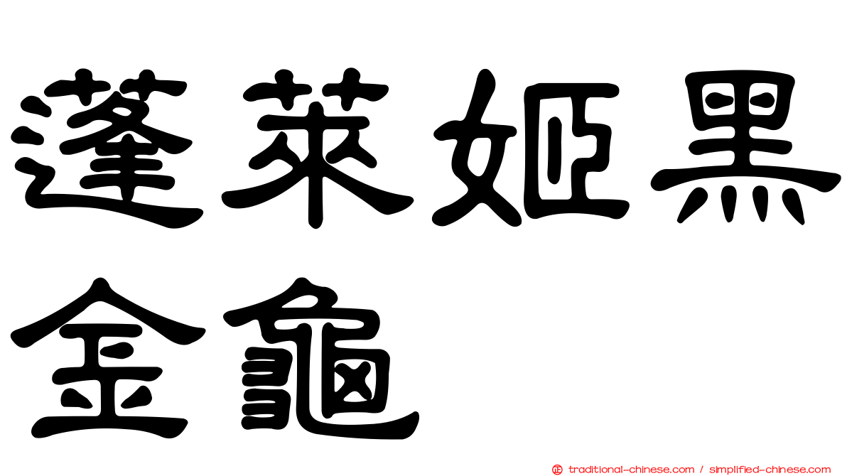 蓬萊姬黑金龜