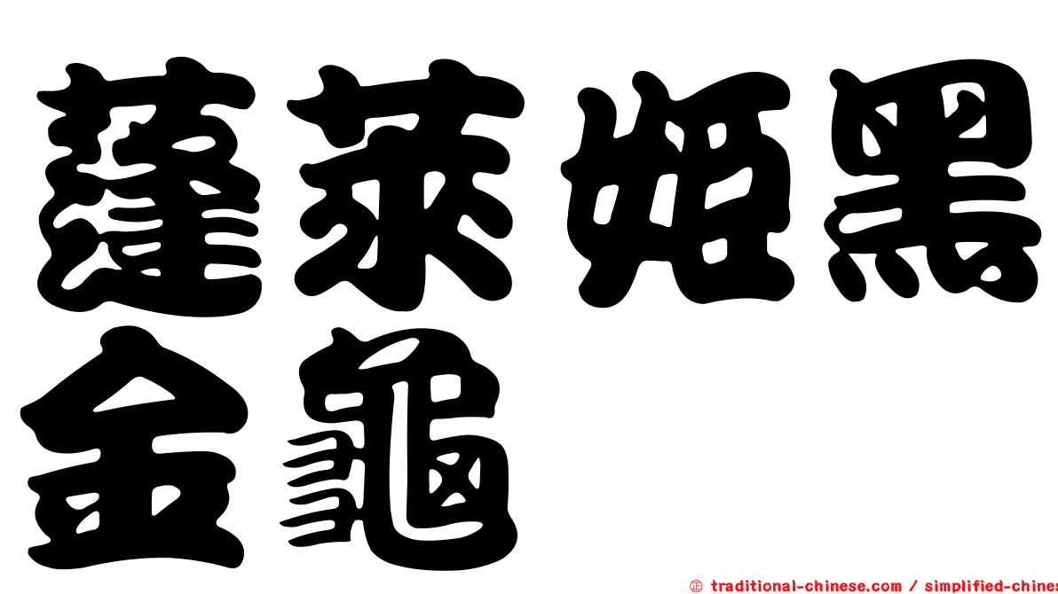 蓬萊姬黑金龜