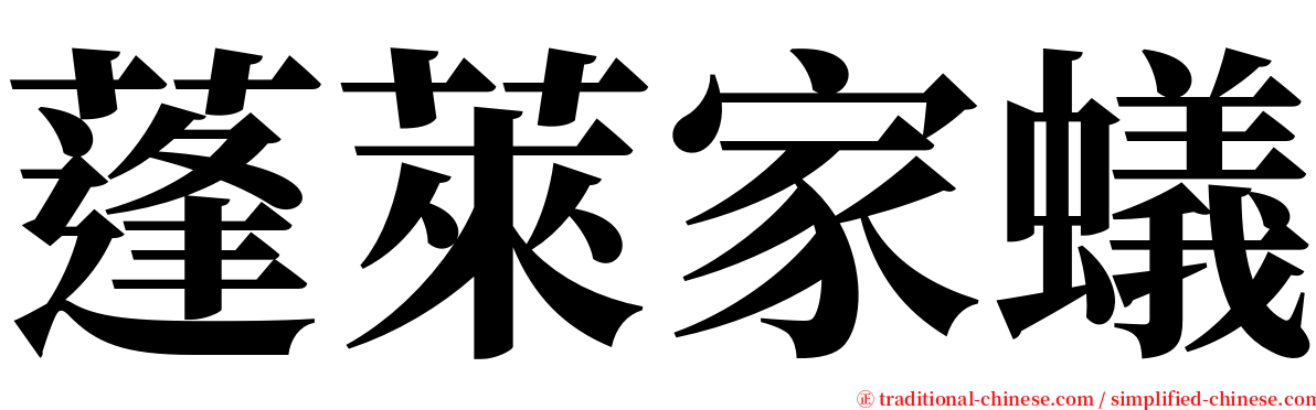 蓬萊家蟻 serif font