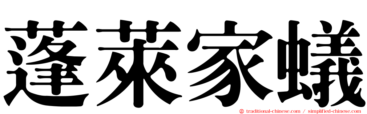 蓬萊家蟻
