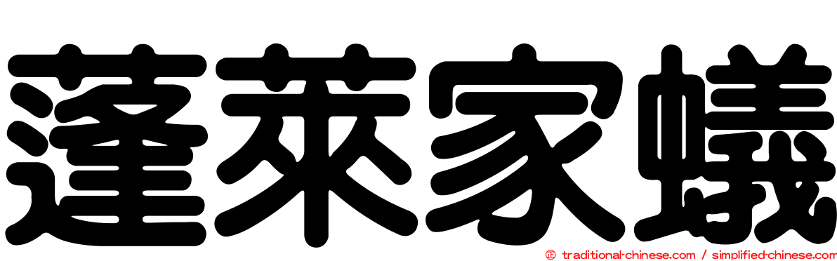 蓬萊家蟻