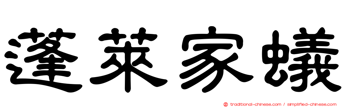 蓬萊家蟻