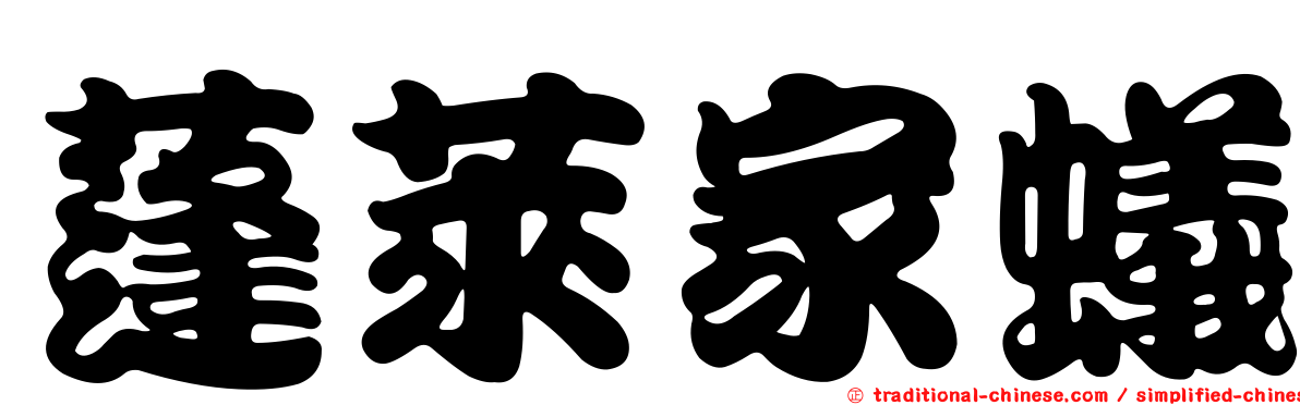 蓬萊家蟻