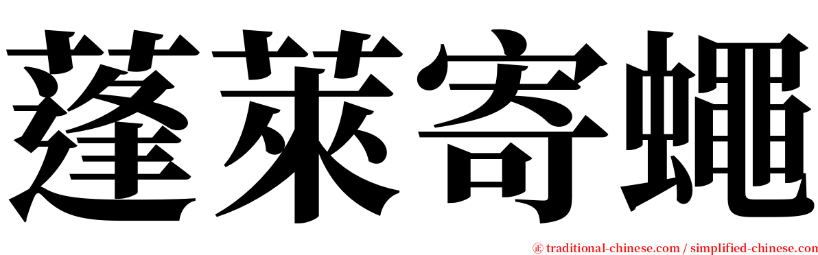 蓬萊寄蠅 serif font
