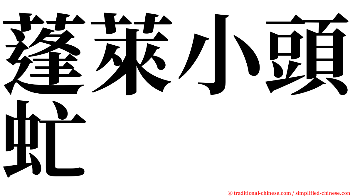 蓬萊小頭虻 serif font
