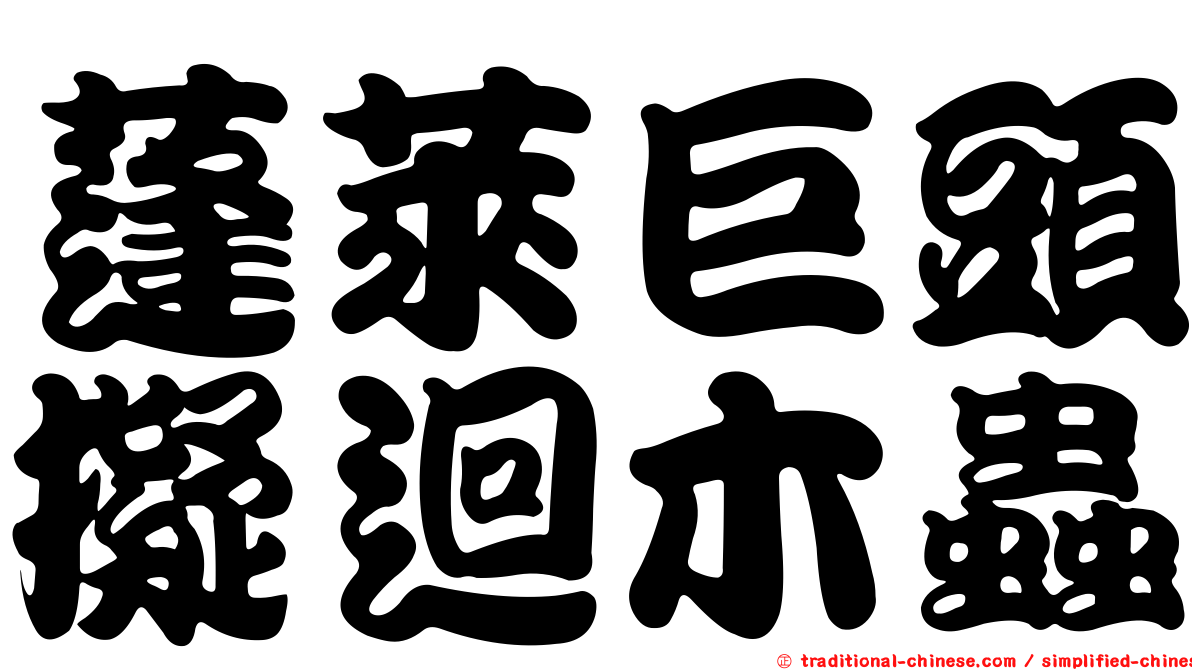 蓬萊巨頭擬迴木蟲