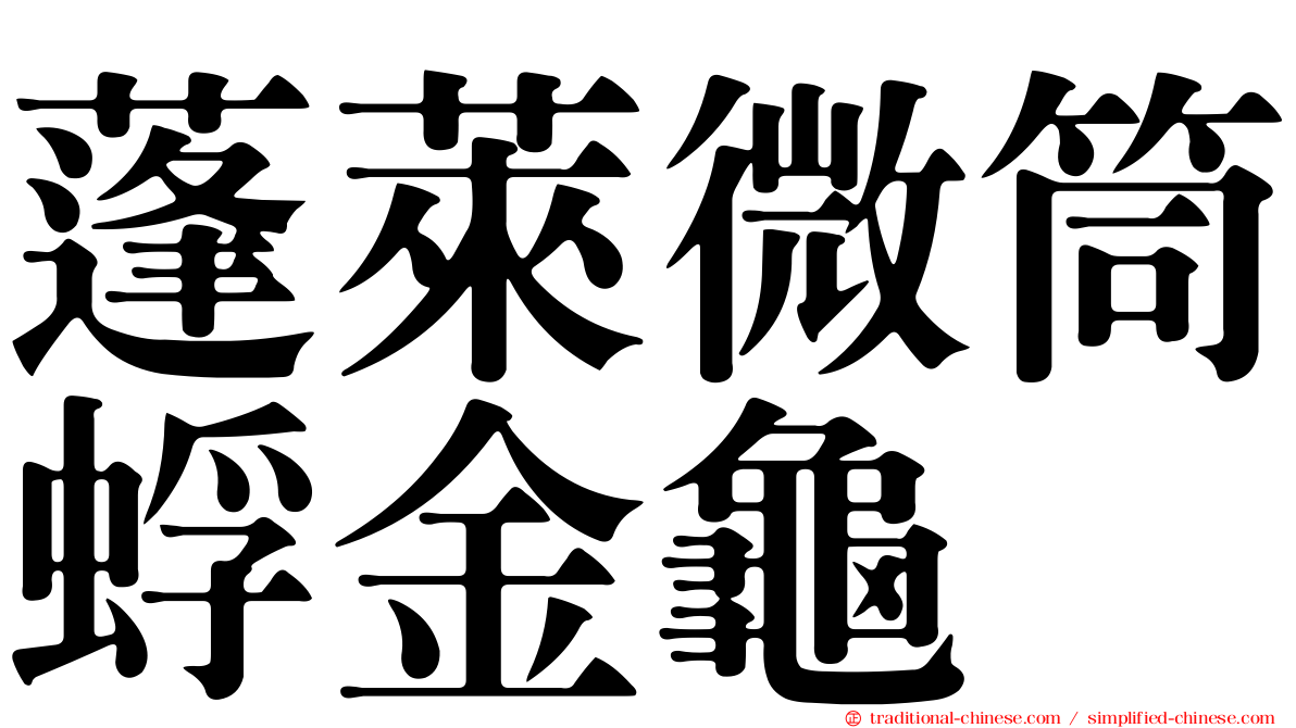 蓬萊微筒蜉金龜