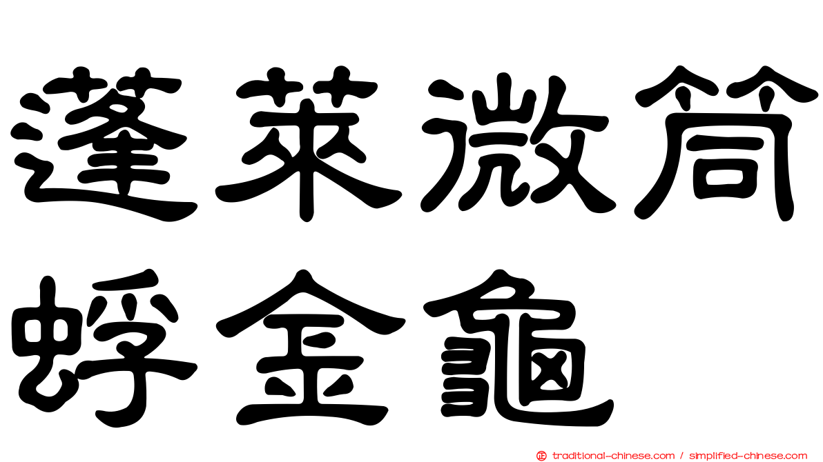 蓬萊微筒蜉金龜