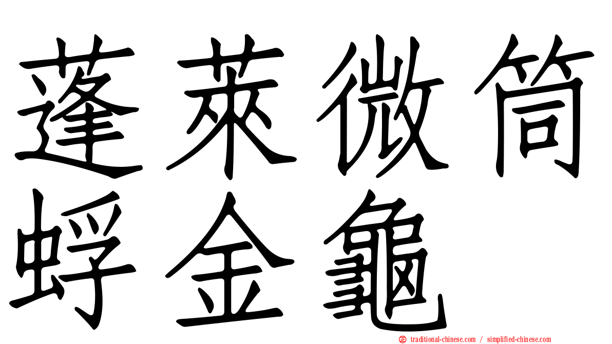 蓬萊微筒蜉金龜