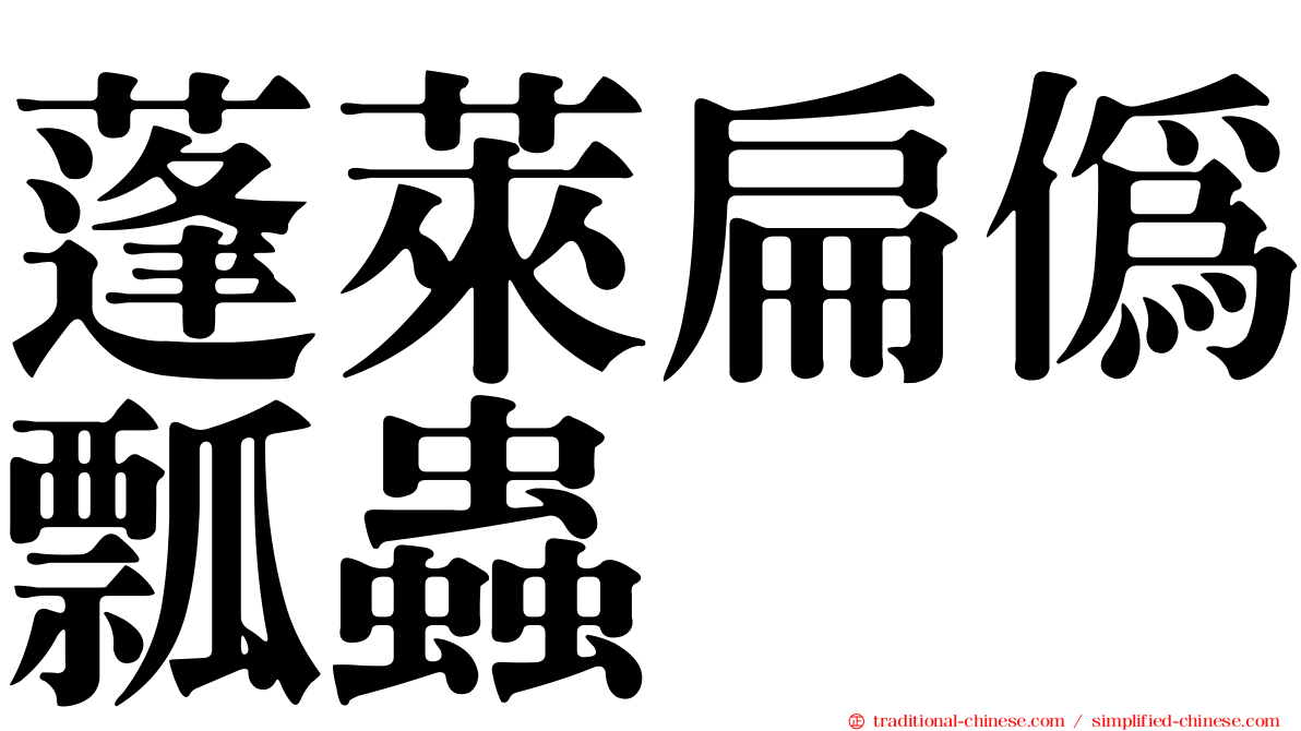 蓬萊扁偽瓢蟲