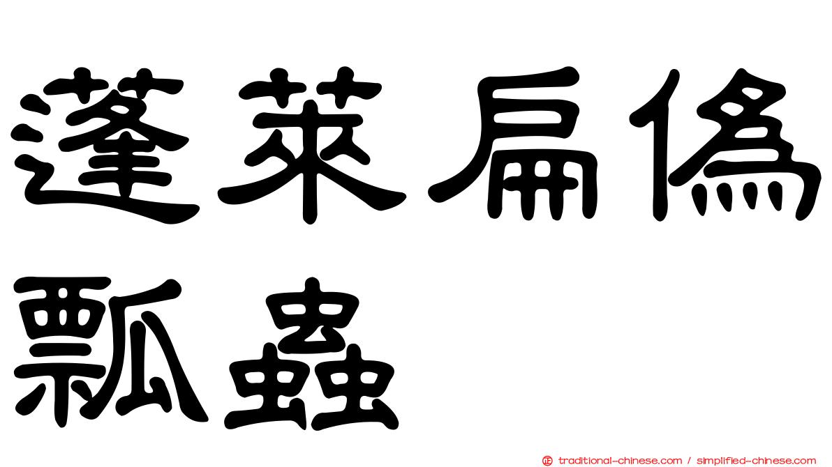 蓬萊扁偽瓢蟲
