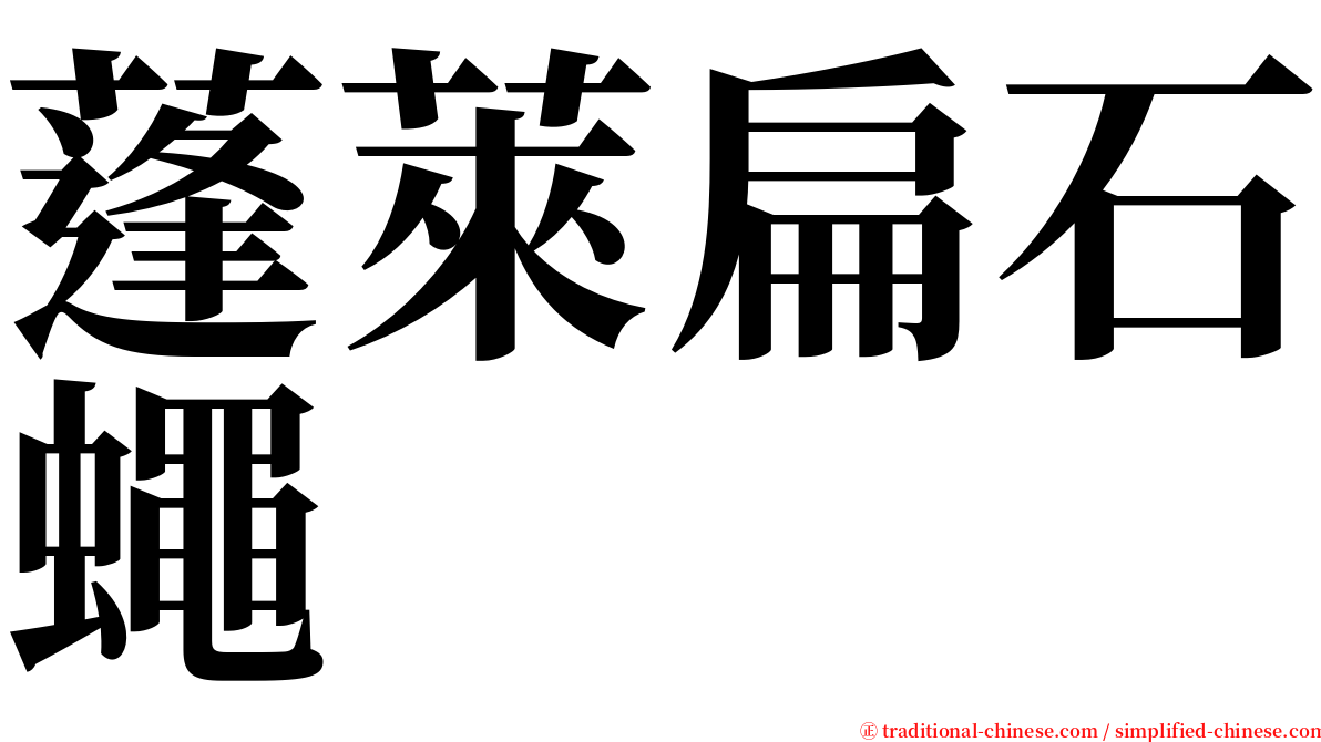 蓬萊扁石蠅 serif font