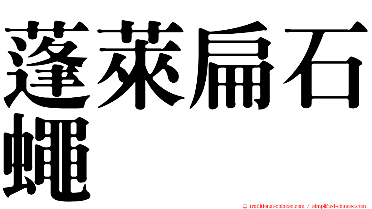 蓬萊扁石蠅