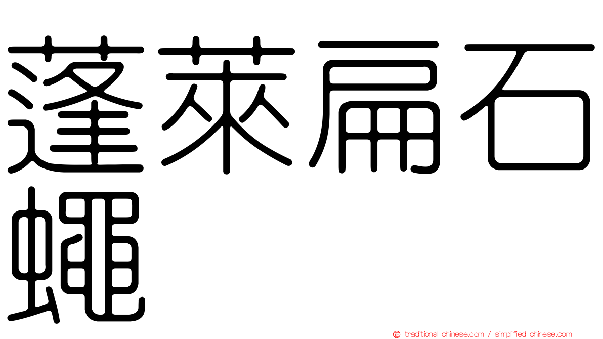 蓬萊扁石蠅