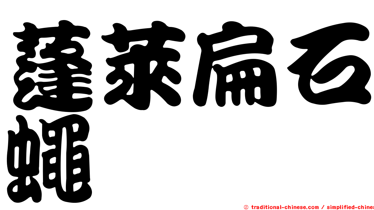 蓬萊扁石蠅