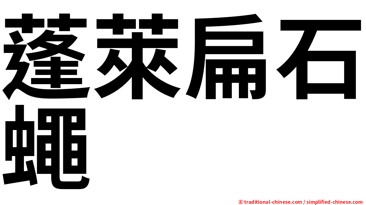 蓬萊扁石蠅
