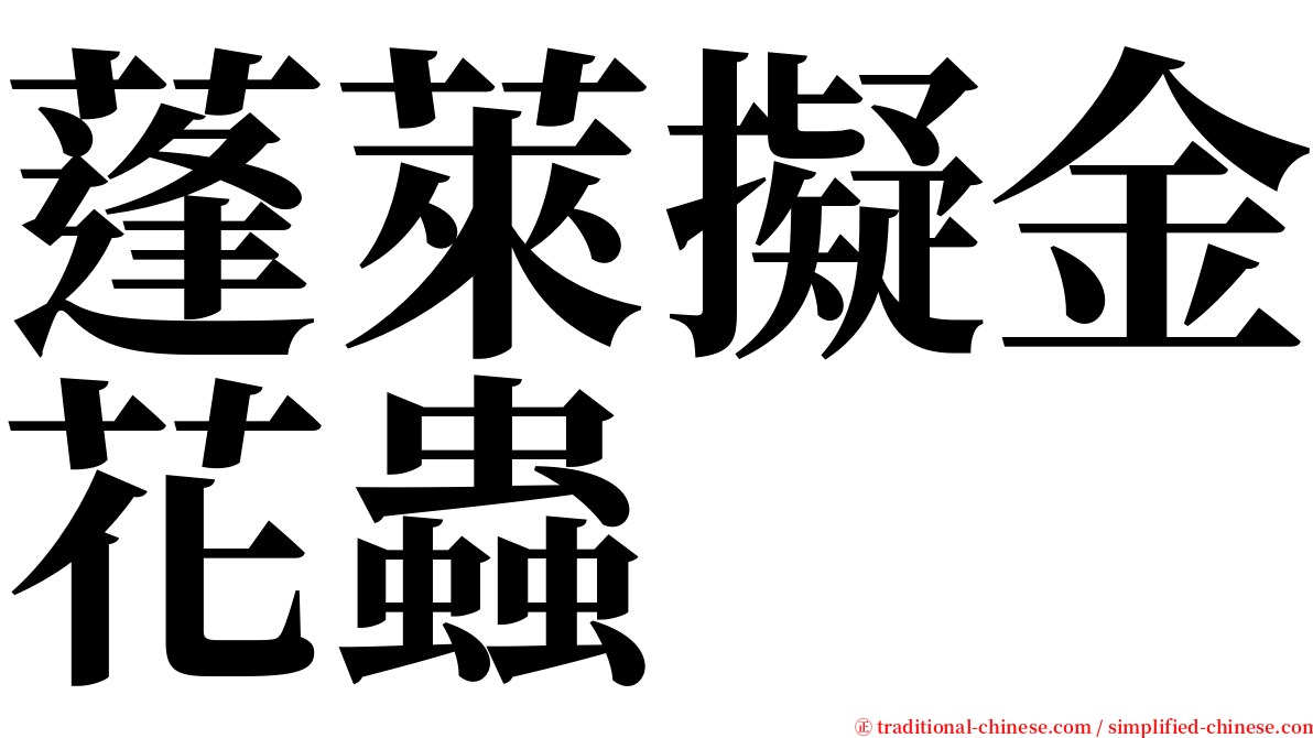 蓬萊擬金花蟲 serif font