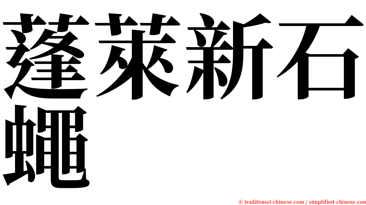 蓬萊新石蠅 serif font