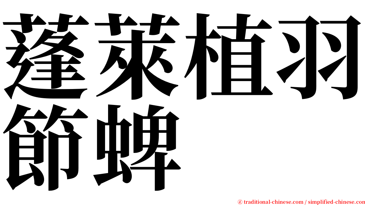 蓬萊植羽節蜱 serif font
