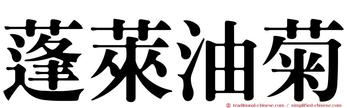 蓬萊油菊