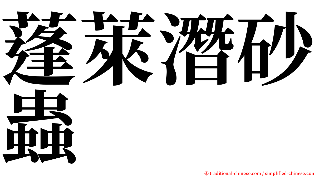 蓬萊潛砂蟲 serif font