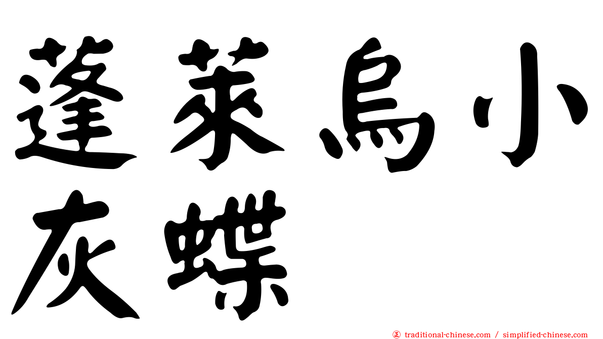 蓬萊烏小灰蝶
