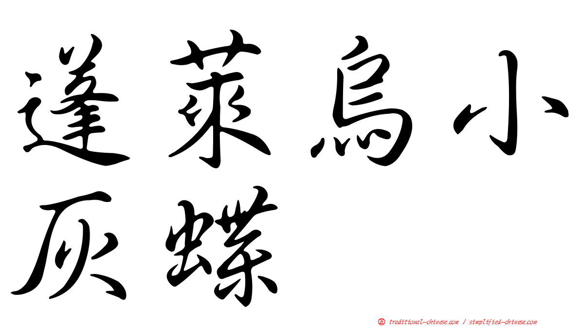 蓬萊烏小灰蝶