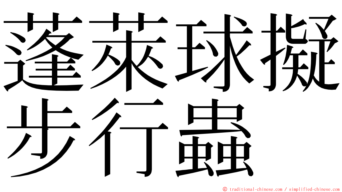 蓬萊球擬步行蟲 ming font