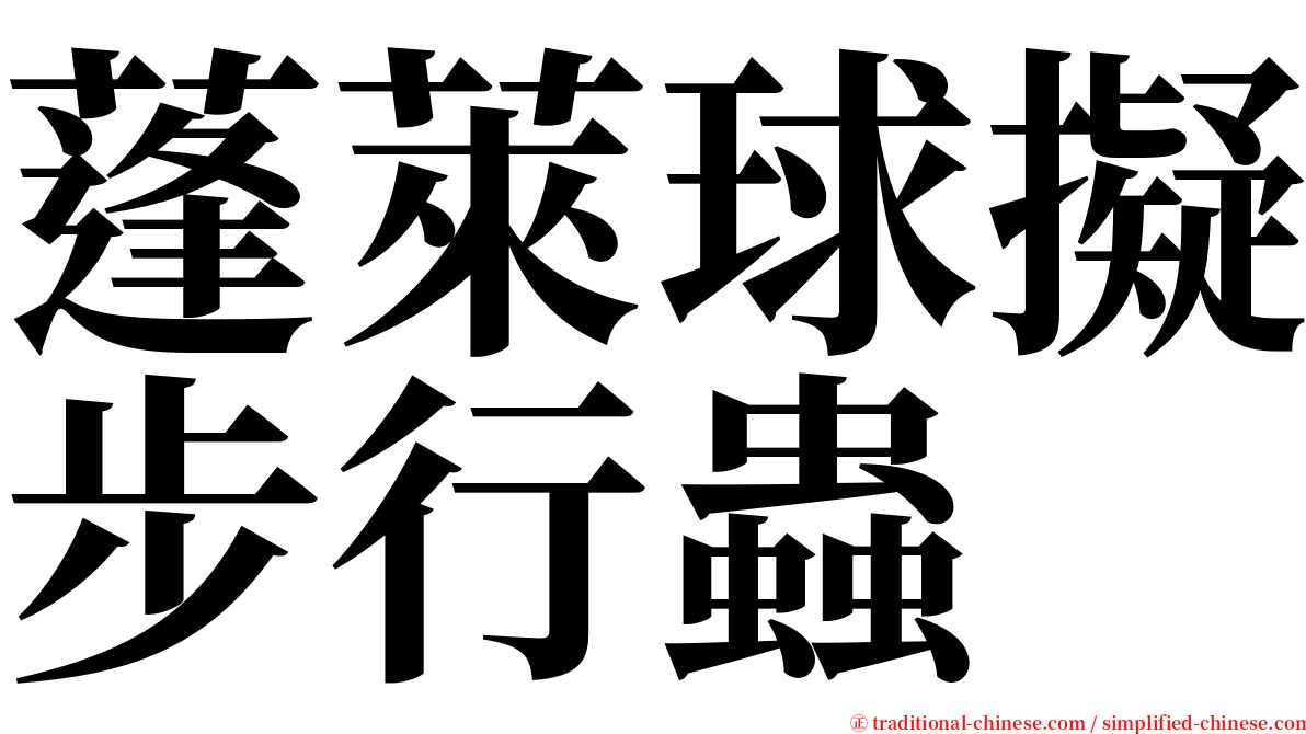蓬萊球擬步行蟲 serif font