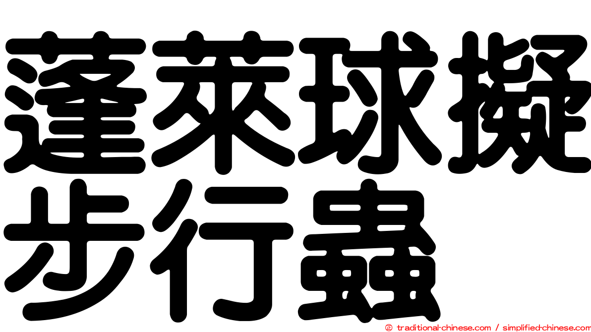 蓬萊球擬步行蟲