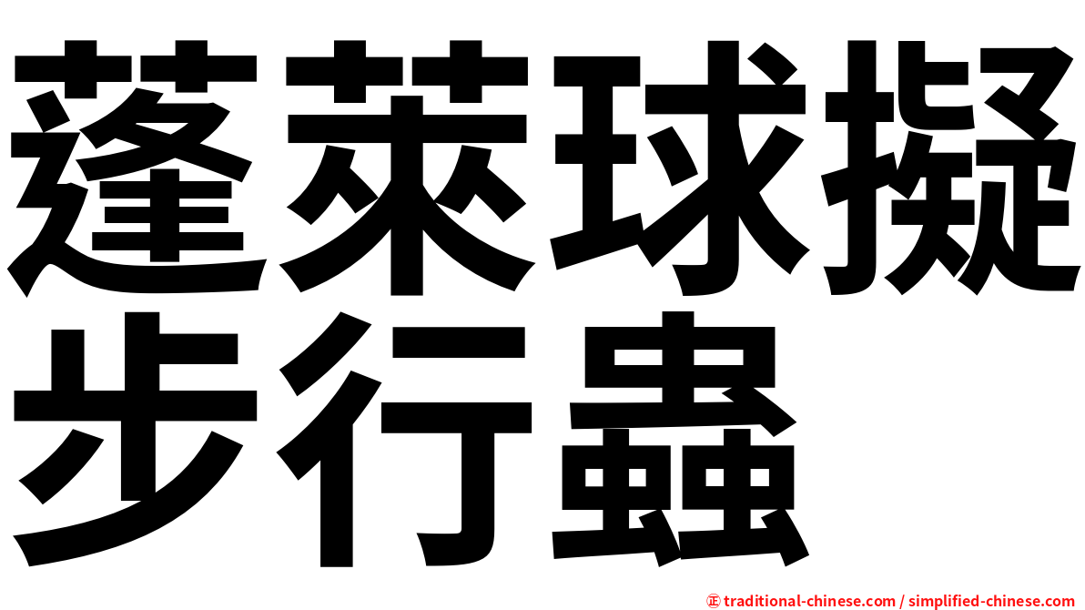蓬萊球擬步行蟲