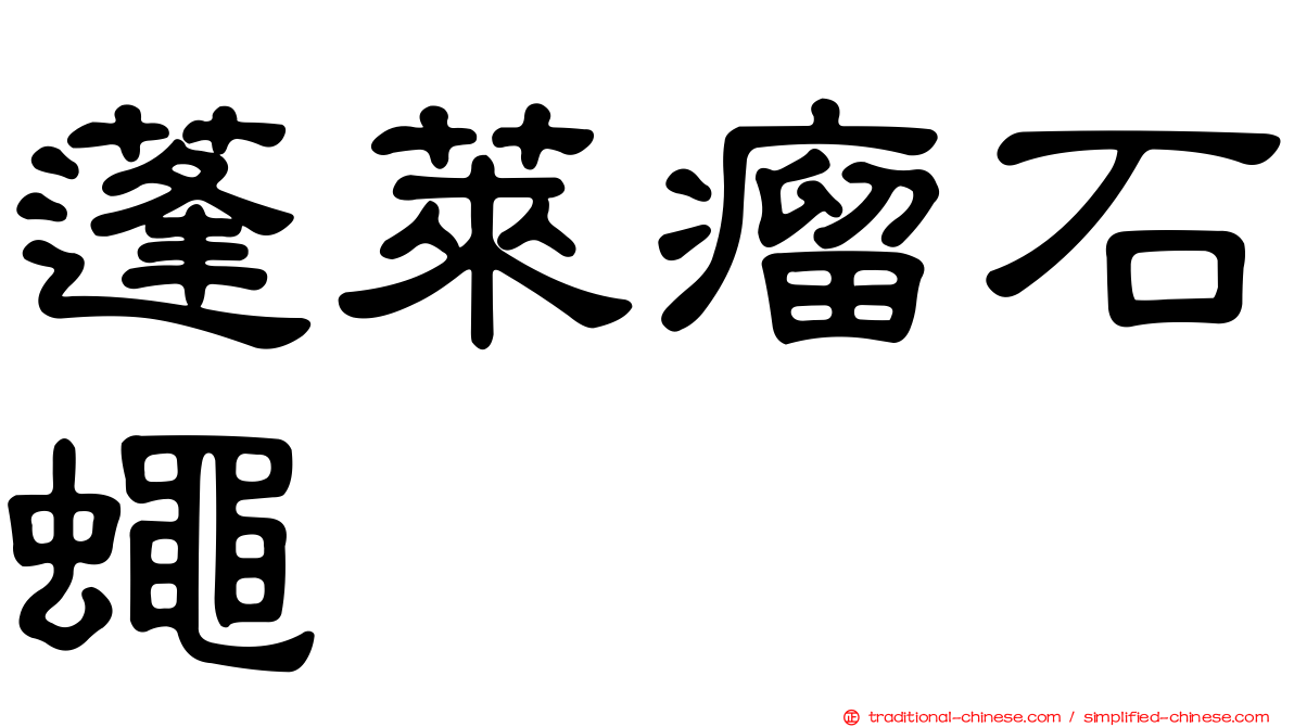 蓬萊瘤石蠅