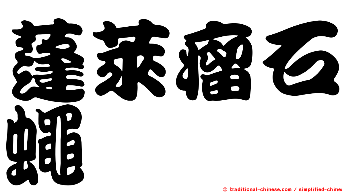 蓬萊瘤石蠅