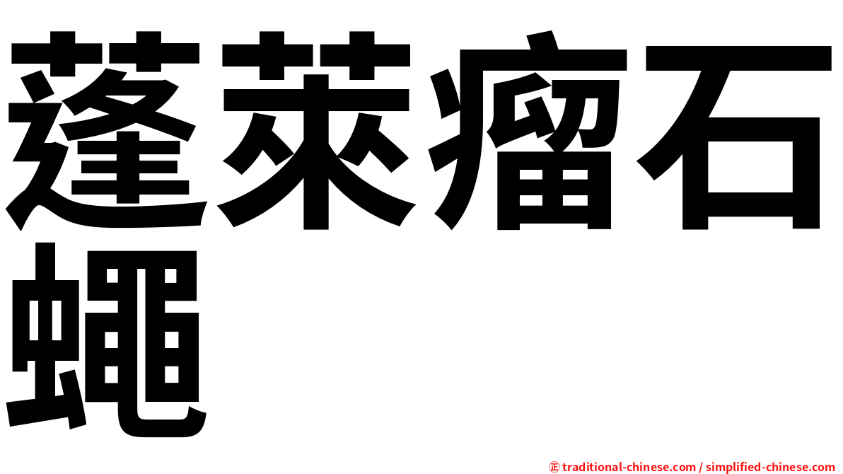 蓬萊瘤石蠅