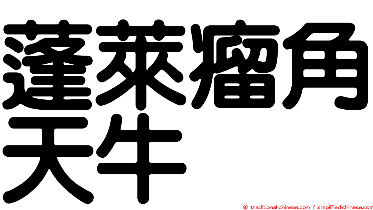 蓬萊瘤角天牛