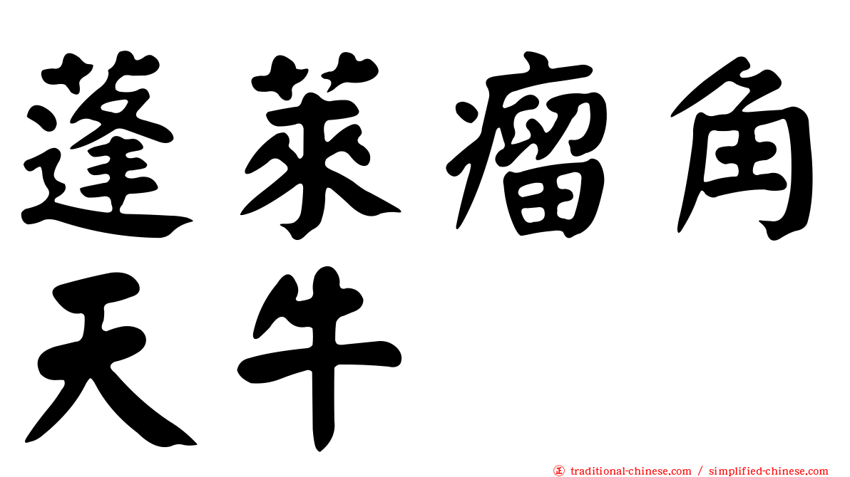 蓬萊瘤角天牛