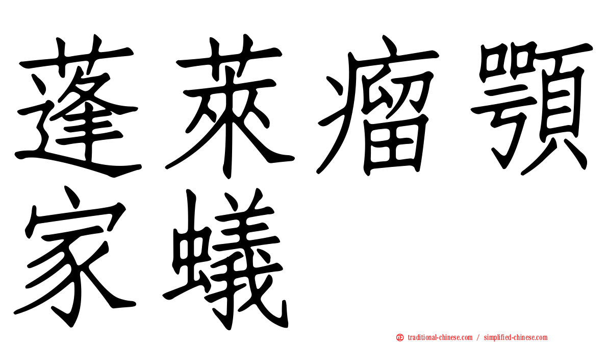 蓬萊瘤顎家蟻