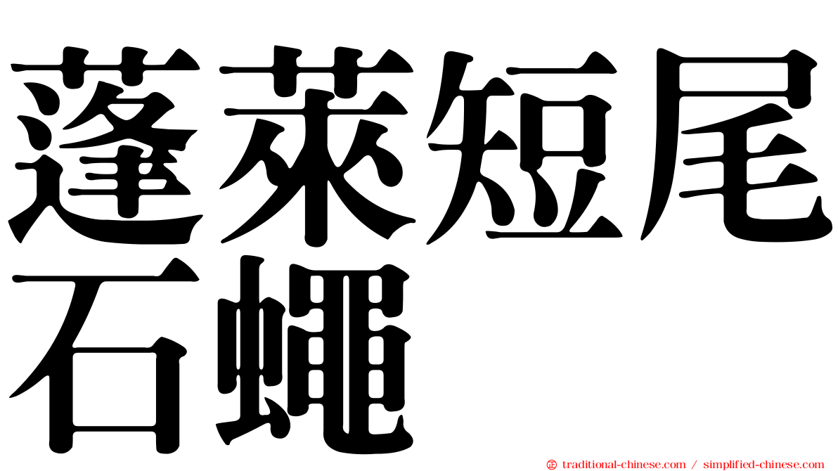 蓬萊短尾石蠅