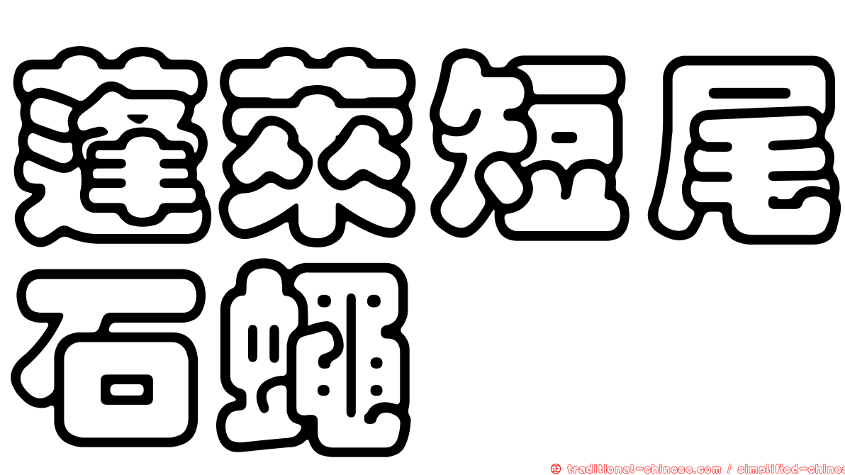 蓬萊短尾石蠅