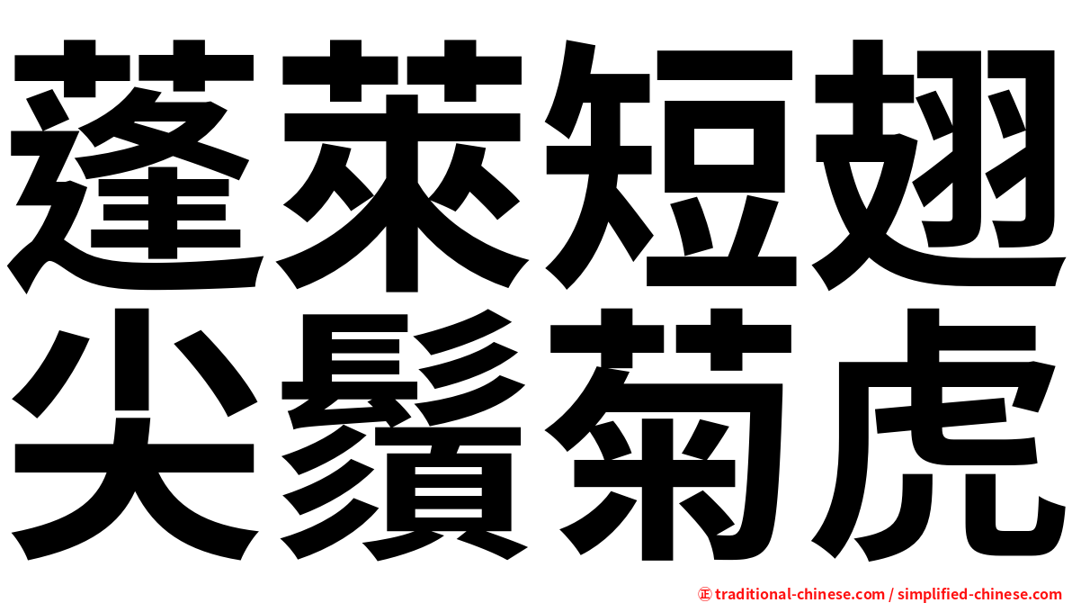 蓬萊短翅尖鬚菊虎