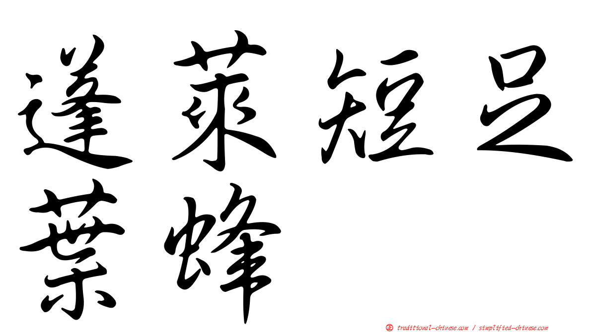 蓬萊短足葉蜂