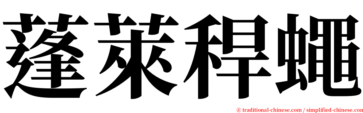 蓬萊稈蠅 serif font
