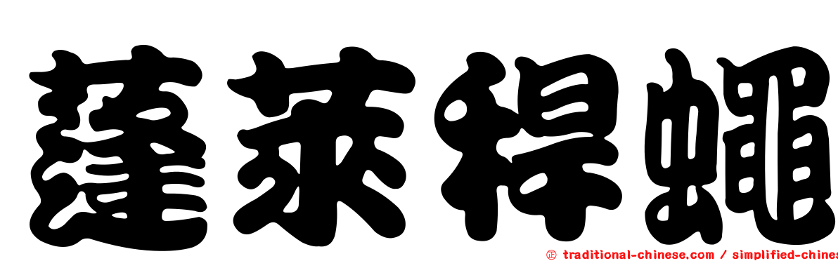 蓬萊稈蠅