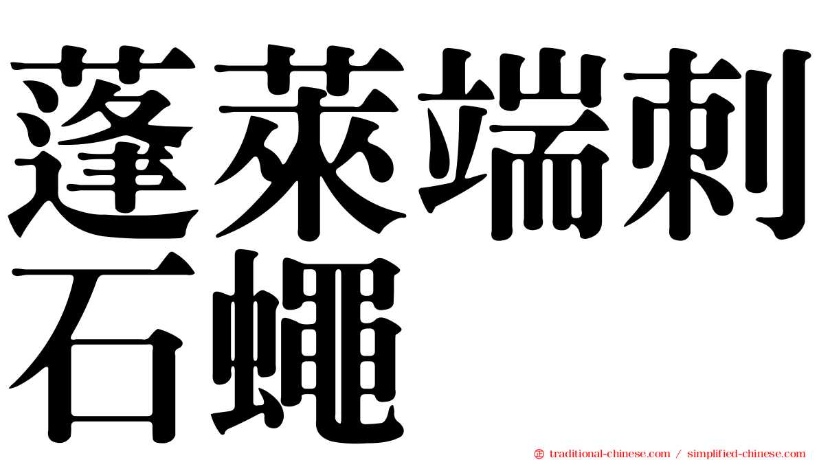 蓬萊端刺石蠅