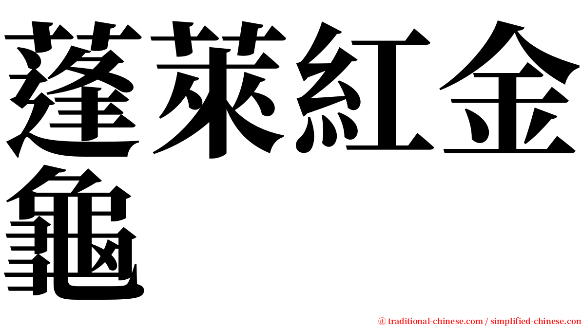 蓬萊紅金龜 serif font