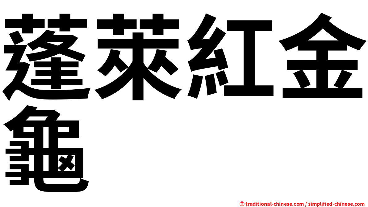 蓬萊紅金龜