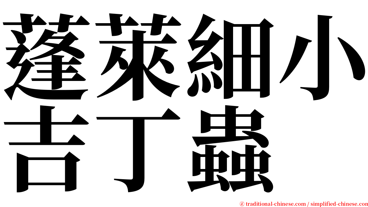 蓬萊細小吉丁蟲 serif font