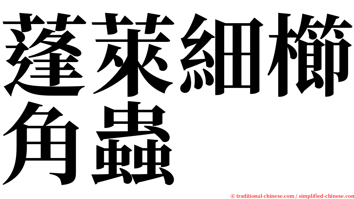 蓬萊細櫛角蟲 serif font