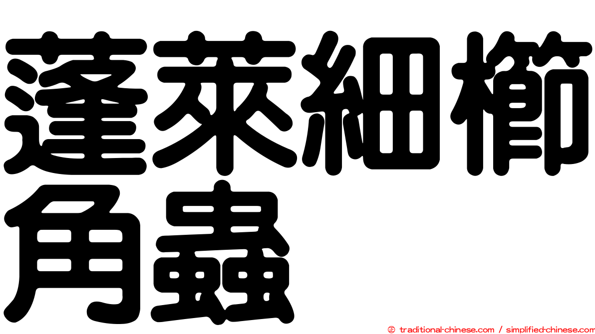 蓬萊細櫛角蟲