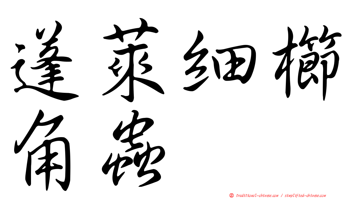 蓬萊細櫛角蟲